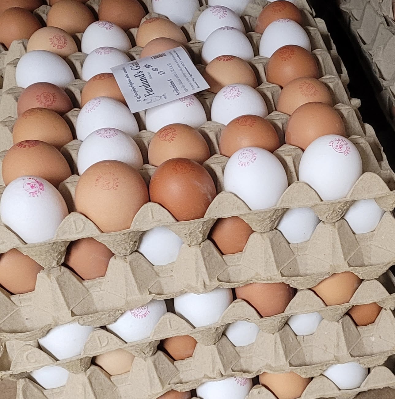 Grönbetesägg 30 pack